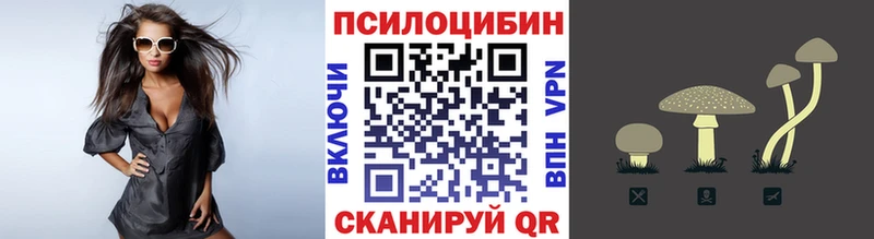 Купить где  Якутск  Галлюциногенные грибы Cubensis 